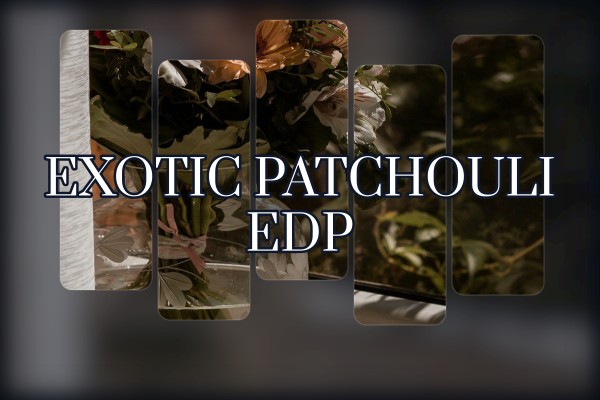exotic patchouli edp