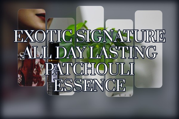 exotic signature all-day lasting patchouli essence