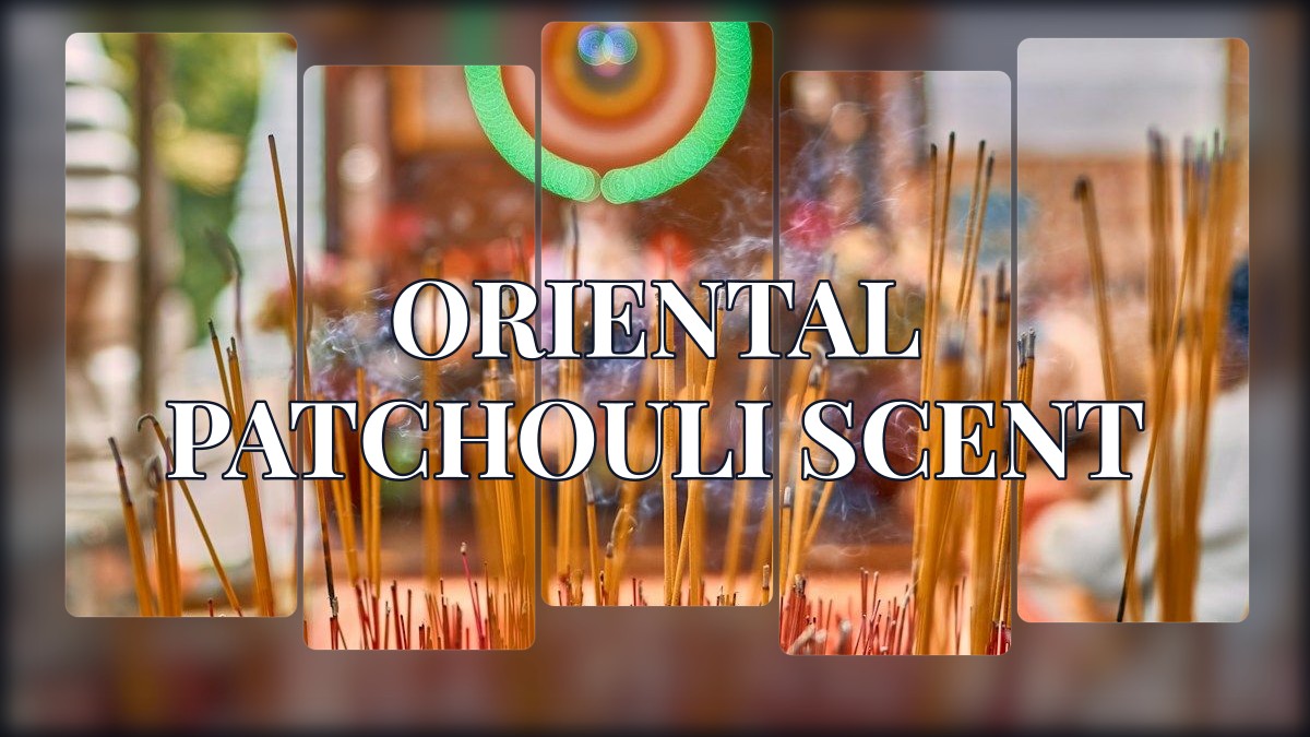oriental patchouli scent