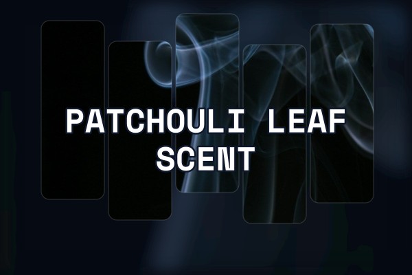 patchouli leaf scent